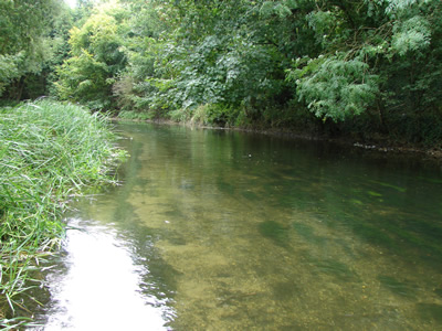 River Avon September